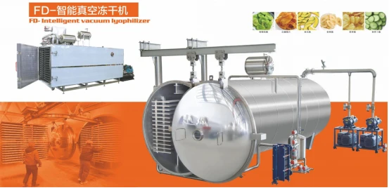03Industrial large vacuum freeze dryer532